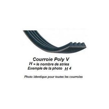 Courroie poly V 711H8 pour Lurem RD 41 E