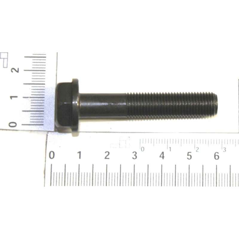 Screw for Blade of lawn mower Scheppach