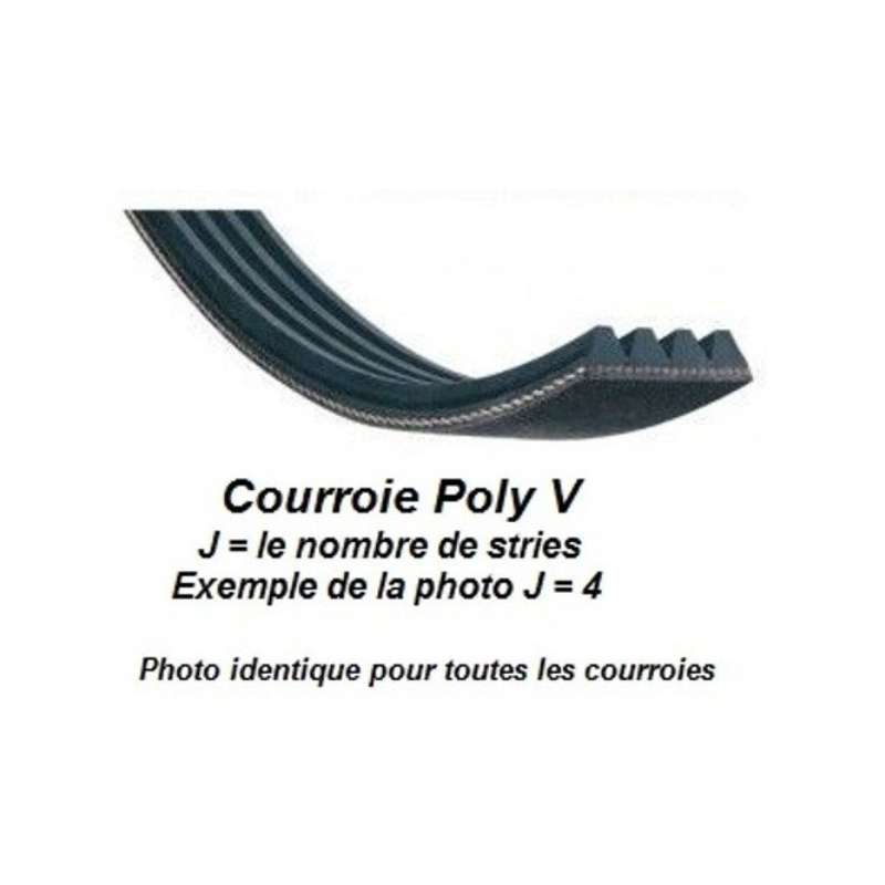 Cintura poly-v 6PJ242 per toupie del mini-combinato Jean l'ébéniste COMB150
