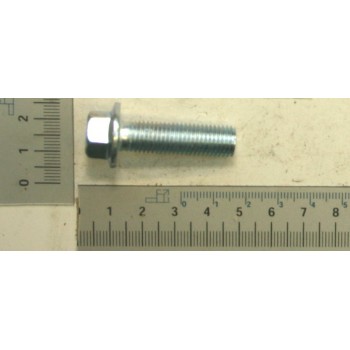 Blade holding screw for Kity, Scheppach and Woodster construction saws