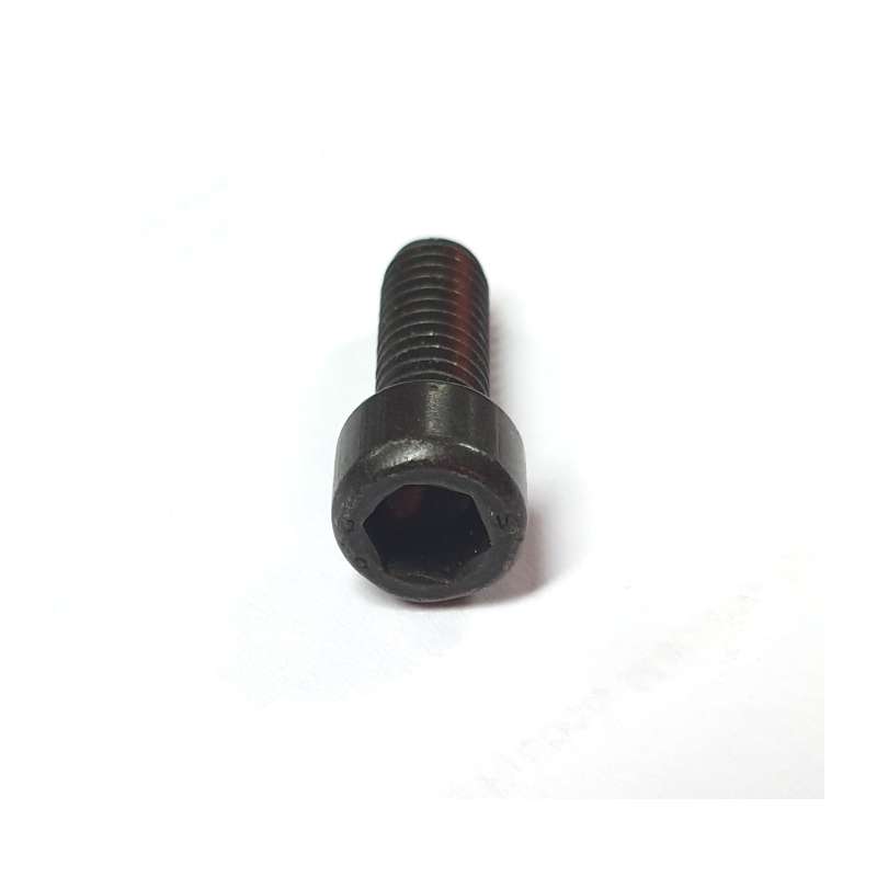 Left-hand screw for dust collector (Kity 691, ASP120, Scheppach HA1600, HA1800, HD12 and Woodstar DC12)