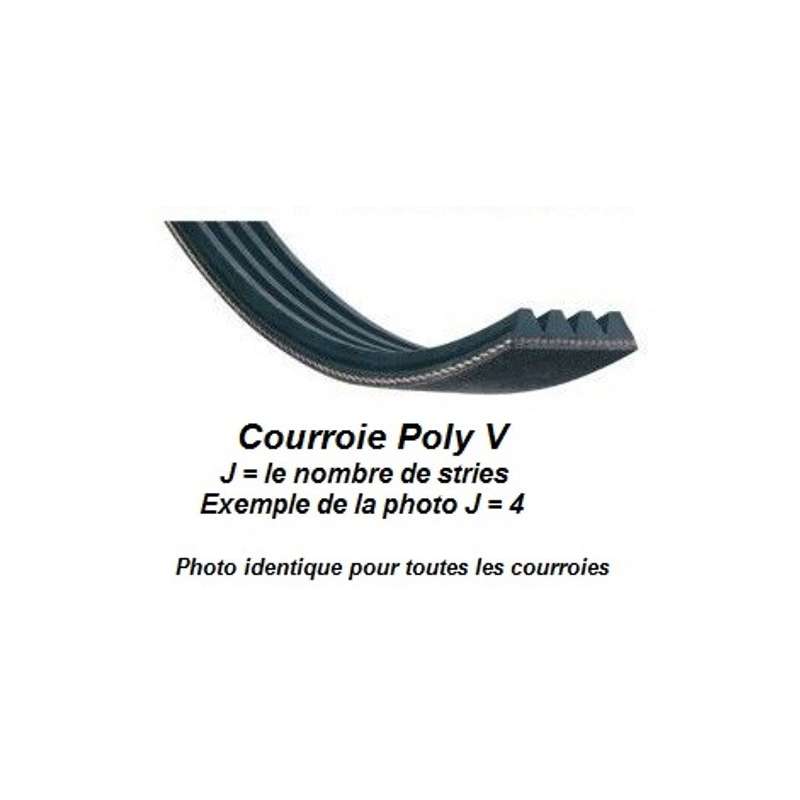 Courroie POLY V 508J5 pour toupie Bestcombi 2000/260, Junior 5 ou 429 et degauchisseuse 439