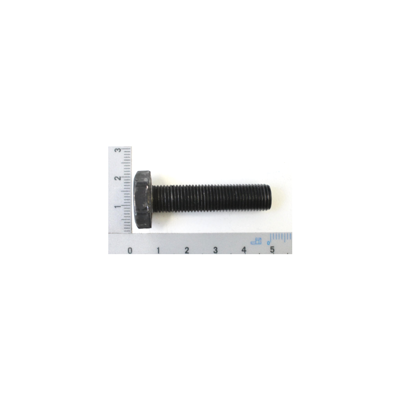 Screw for Blade for lawn mower Scheppach