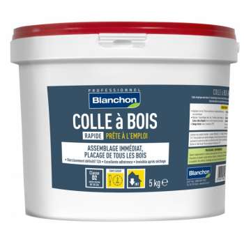 Colla rapida bianca per legno Briançon - 5 kg