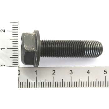 Screw for Blade for lawn mower Scheppach MS196-53