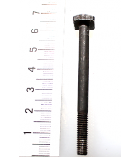 Tornillo para motosierra Scheppach CSP41