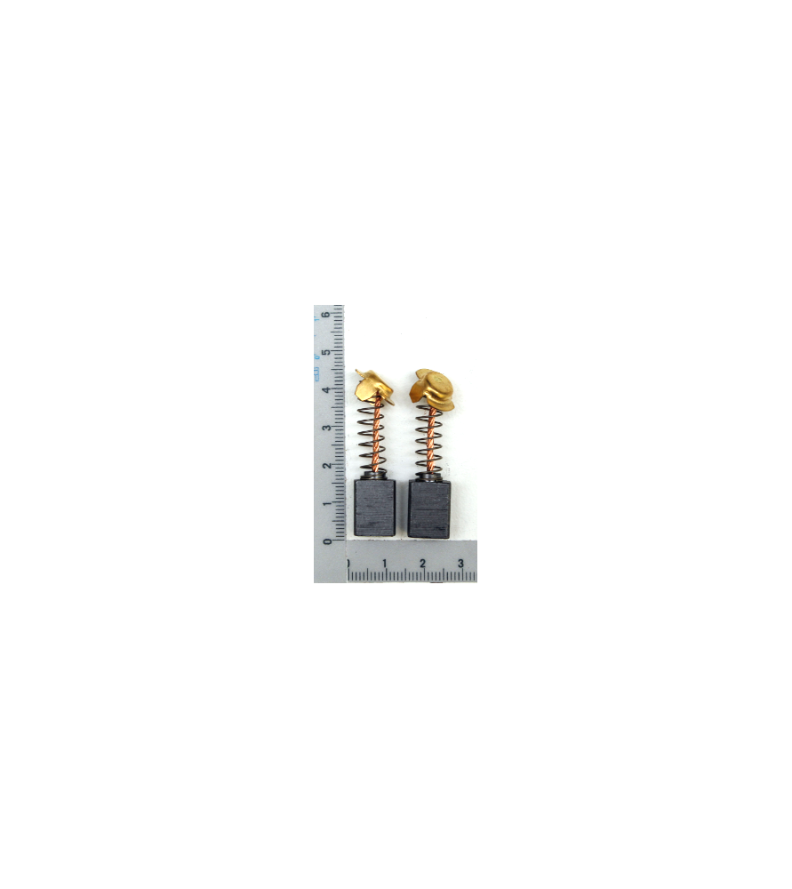 Carbon brushes for radial miter saw Scheppach HM81L, Parkside PZKS2000A1