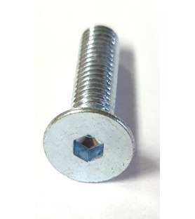 Screw for light plate for Kity, Scheppach and Woodster circular saws