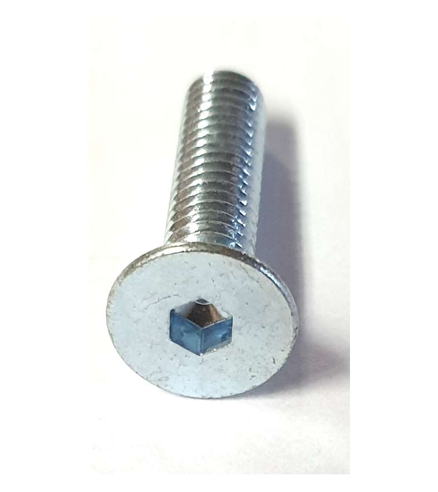 Screw for light plate for Kity, Scheppach and Woodster circular saws
