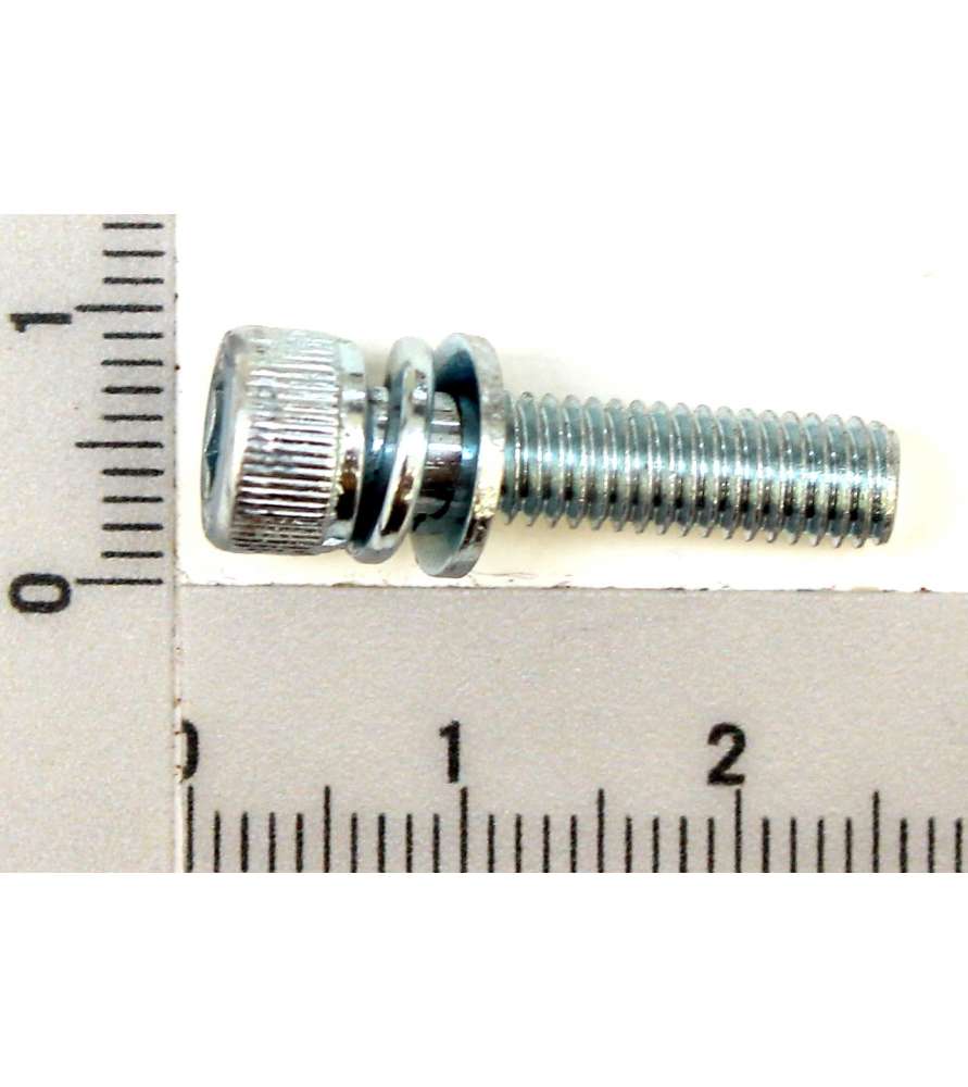 M5x20 Schrauben für verschiedene Freischneider von Scheppach, Woodster und andere Maschinen M5x20 Schrauben für verschiedene Freischneider von Scheppach, Woodster und andere Maschinen