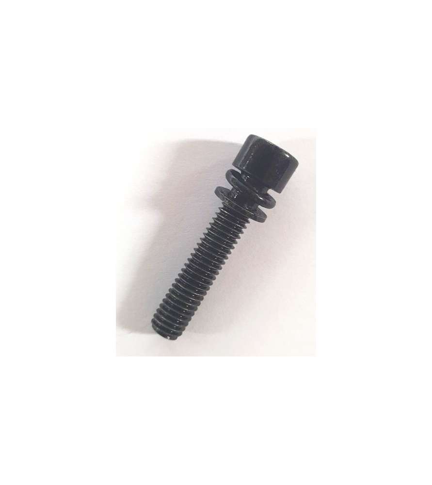 Tornillo de sujeción para conector 3904801044 de herramientas de jardín Scheppach