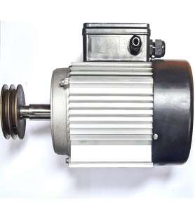 Motor 2000W para cepilladora y regruesadora Jean l'ébéniste ML392 en 230V