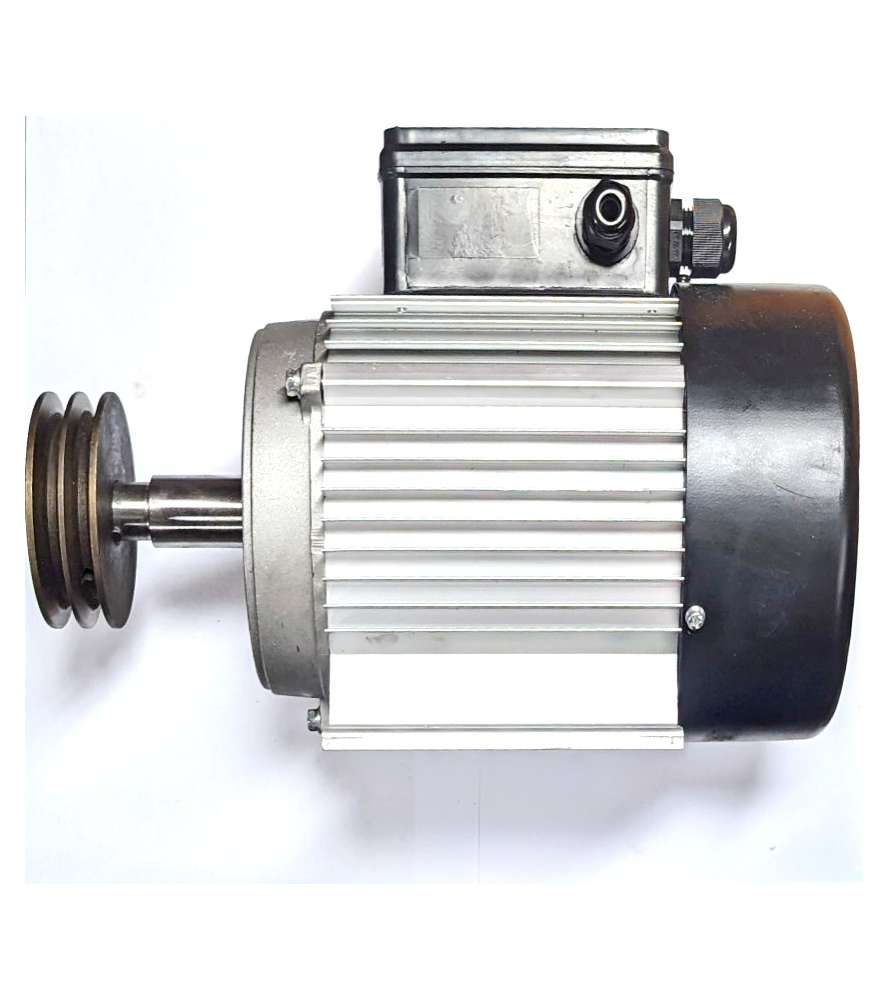 Motor 2000W para cepilladora y regruesadora Jean l'ébéniste ML392 en 230V