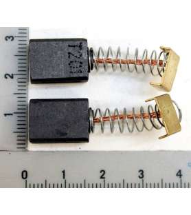 Charbons pour motoculteur Scheppach MTE380 et MTE460