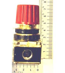 Pressure regulator for...