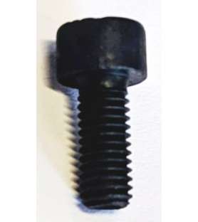 Screw for pulley of the...