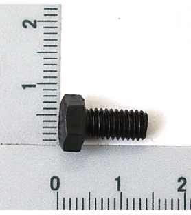 Screw for iron support for...