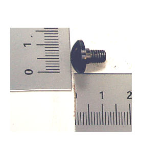 Schraube 62 Referenz 3901802069 für Scheppach Tauchsäge markieren