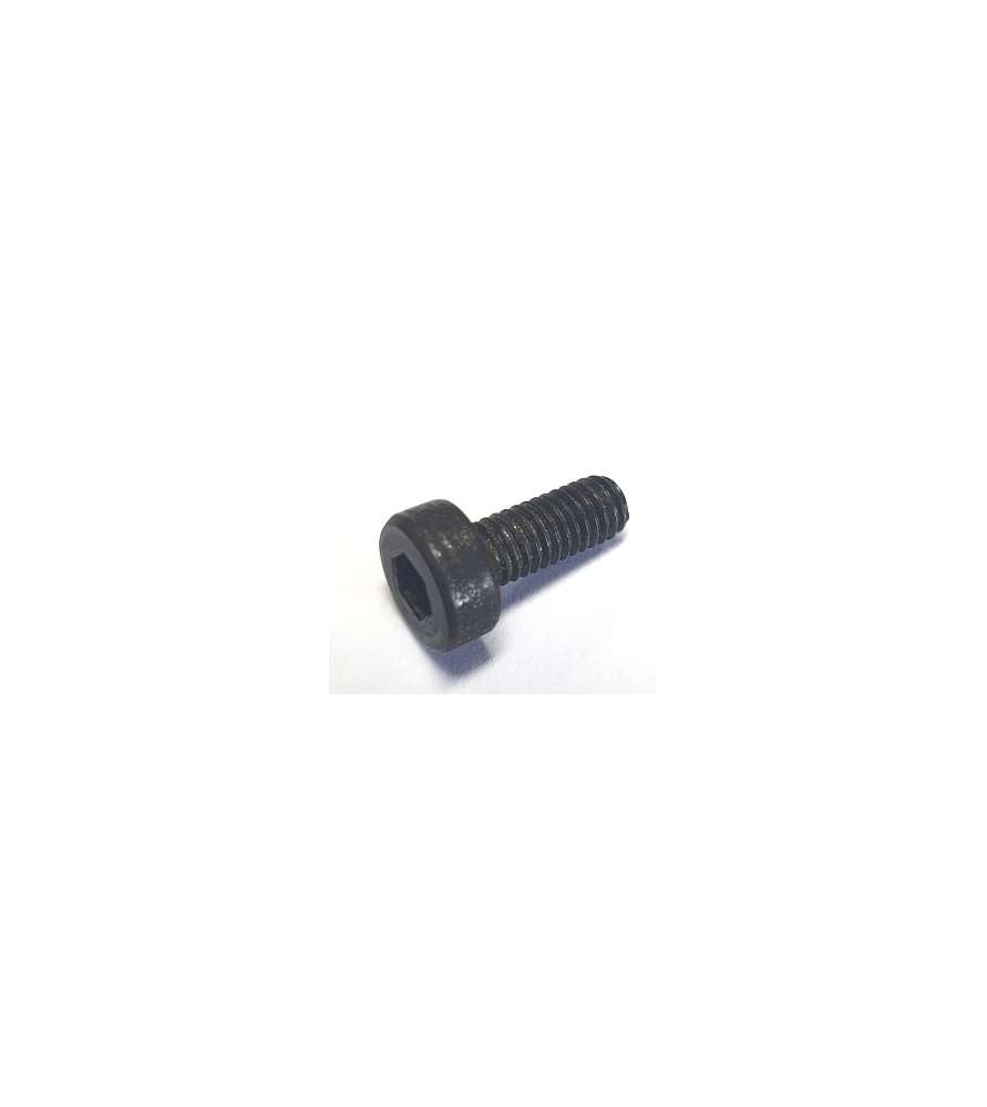 Adjustment screw M5x12 mm for planer and thicknesser machines width 204 mm Kity Scheppach and Woodstar