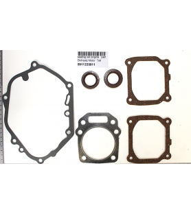 Motordichtungen für Rasenmäher Scheppach MP99-42, MS173-51E und Woodster TT173-51E