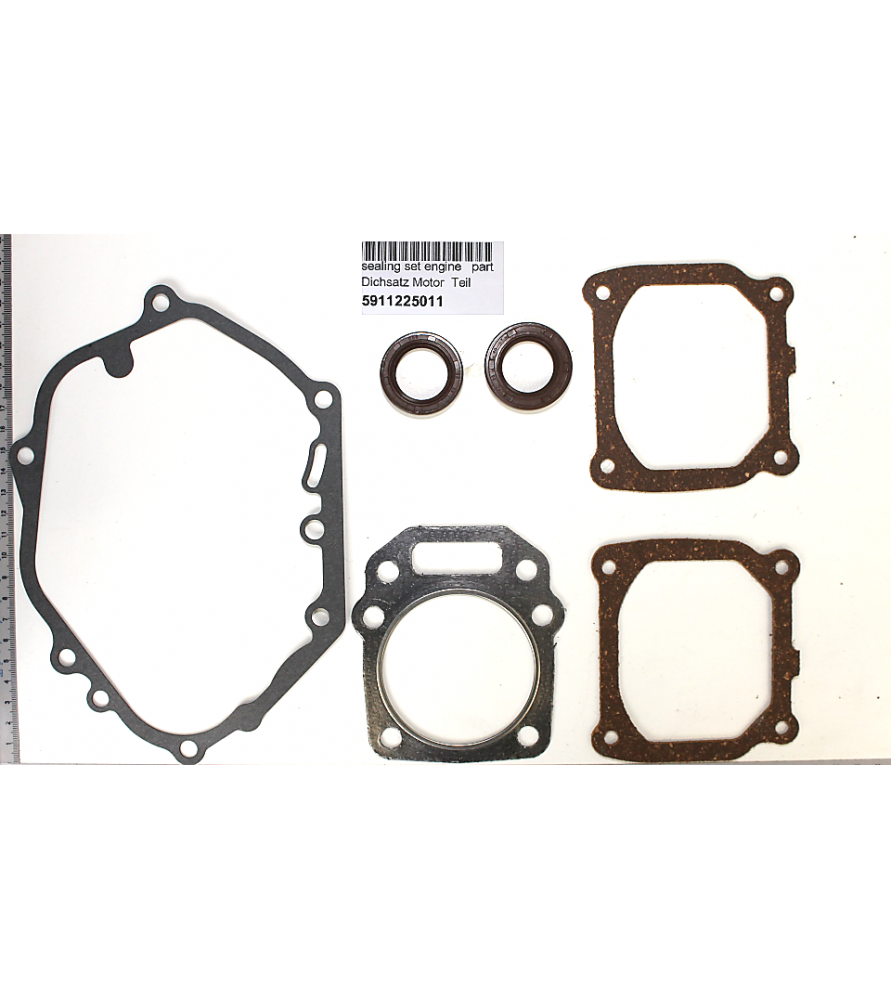 Motordichtungen für Rasenmäher Scheppach MP99-42, MS173-51E und Woodster TT173-51E