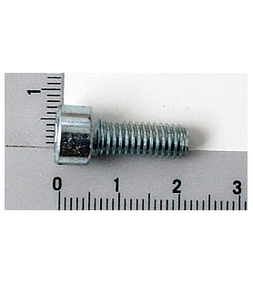 Cylindrical head screw M6x16 mm reference 02091236