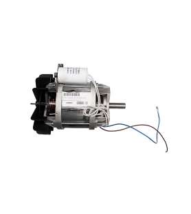 Single-phase motor for biostar 2000 shredder