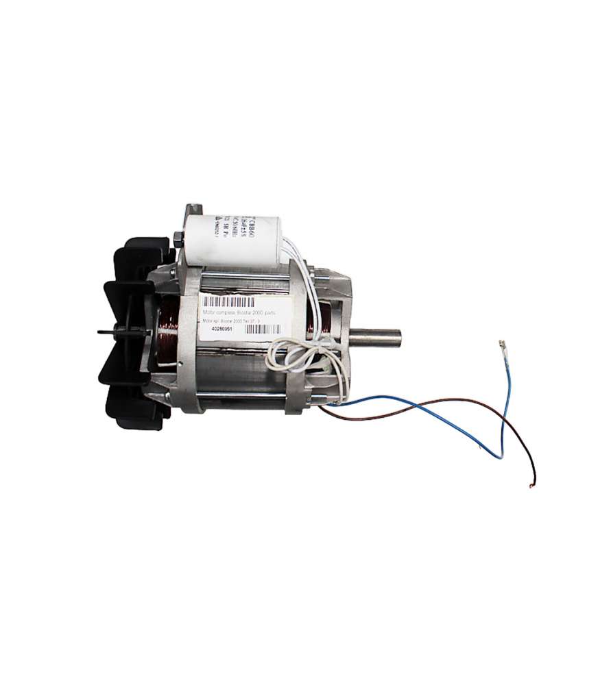 Single-phase motor for biostar 2000 shredder