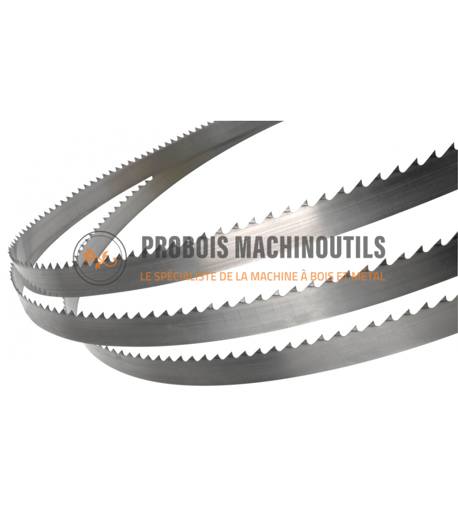 Bandsaw blade 2895 mm width 6 mm Thickness 0.5 mm