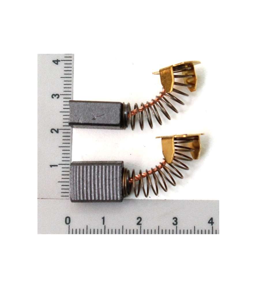 Charbons pour scie radiale Woodster, Scheppach, Parkside lame de 210 à 216 mm