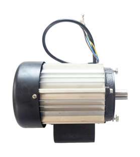 230V Motor für verschiedene Kity und Scheppach Maschinen