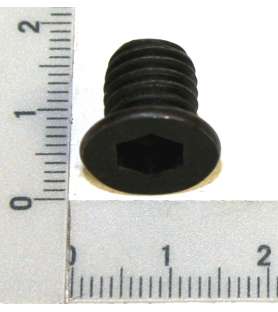 Vis M10x12 5904401005 pour Couteaux de broyeur de végétaux Scheppach