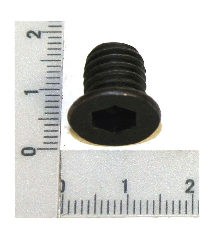 Vis M10x12 5904401005 pour Couteaux de broyeur de végétaux Scheppach