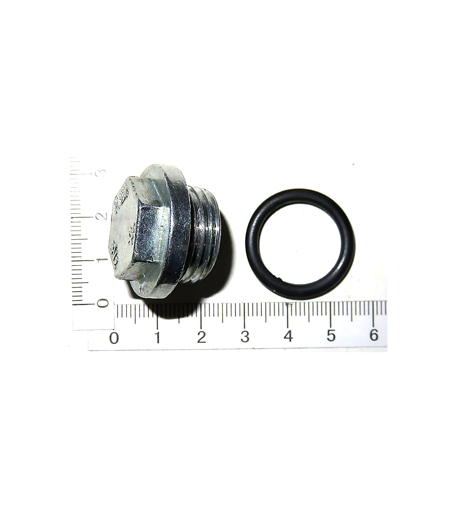 Reservoir screw with gasket 3906123007 for Scheppach and Parkside compressors