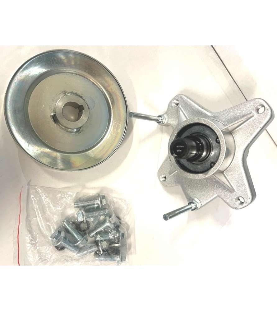 Ensemble palier de lame 59112789009 pour tondeuses Scheppach