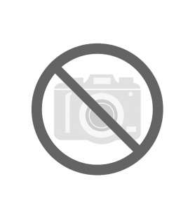 Nastro trasportatore per levigatrice calibratrice Jet JWDS-1020