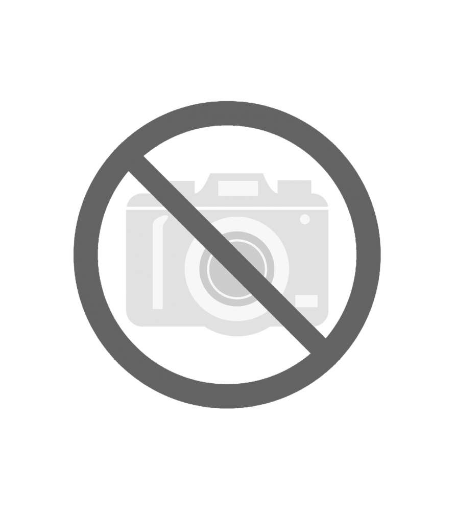 Nastro trasportatore per levigatrice calibratrice Jet JWDS-1020