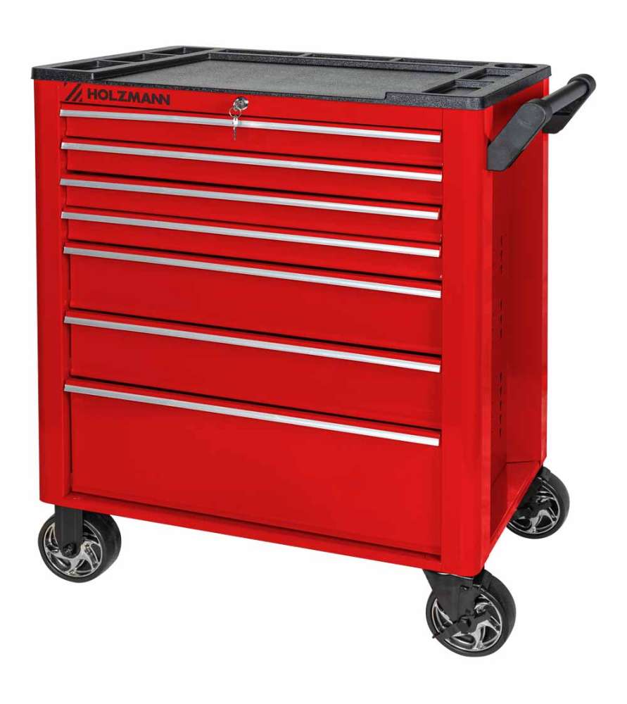 Carro Holzmann WW690L