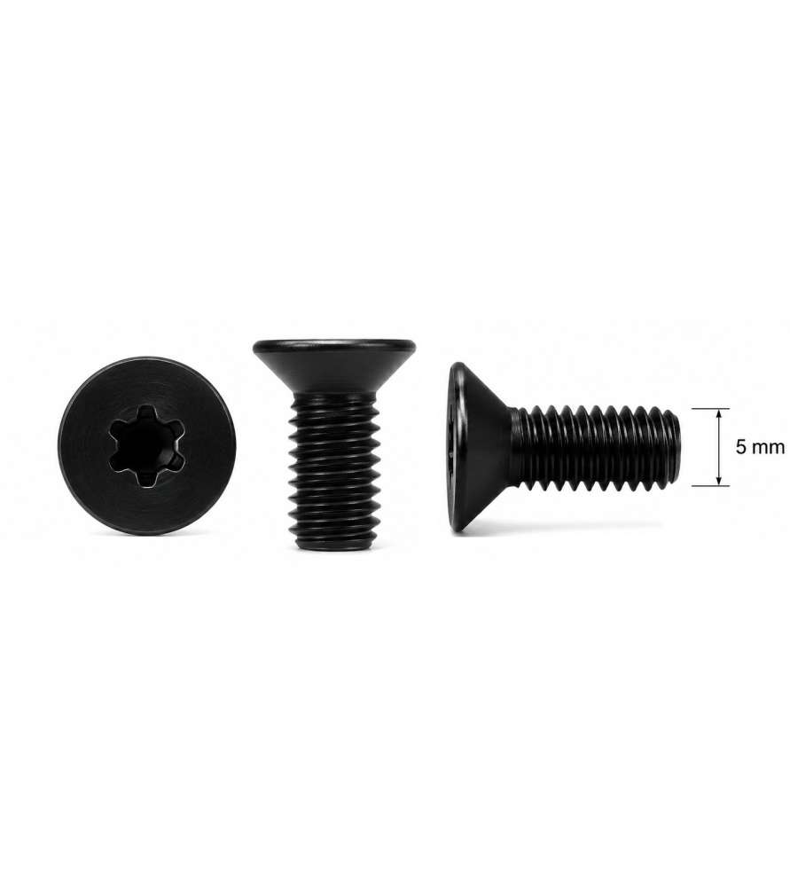 M5x10 carbide insert fixing screw for Holzmann HOB305ABSSMW2 and Bernardo PT305DS