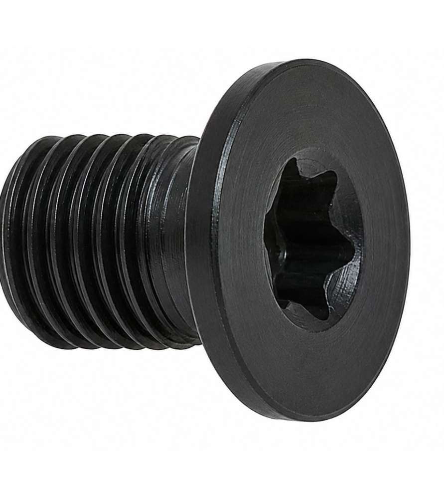 Vis Torx M5 x 7 mm pour plaquettes carbure – Outils à rainurer, calibreurs et porte-outils