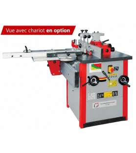 Toupie à arbre inclinable Holzmann FS200S - 400V