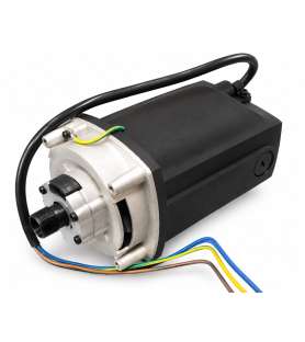 Motor für Holzmann TFM610V Tischfräse - 10009987