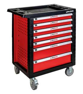 Servante d'atelier Holzmann WW770W avec 261 outils et 7 tiroirs