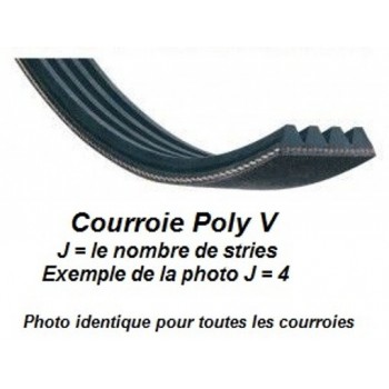 Courroie POLY V 259J6 pour scie Woodstar ST10L