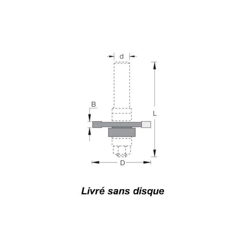 Arbre porte-disques pour rainure languette avec roulement et bagues Q12MM