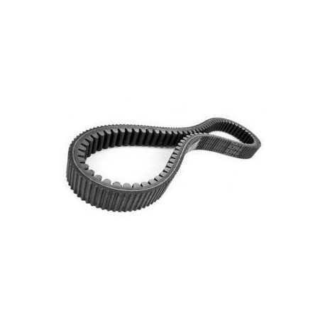 Courroie trapézoidale crantée 1287 mm pour Lurem RD31