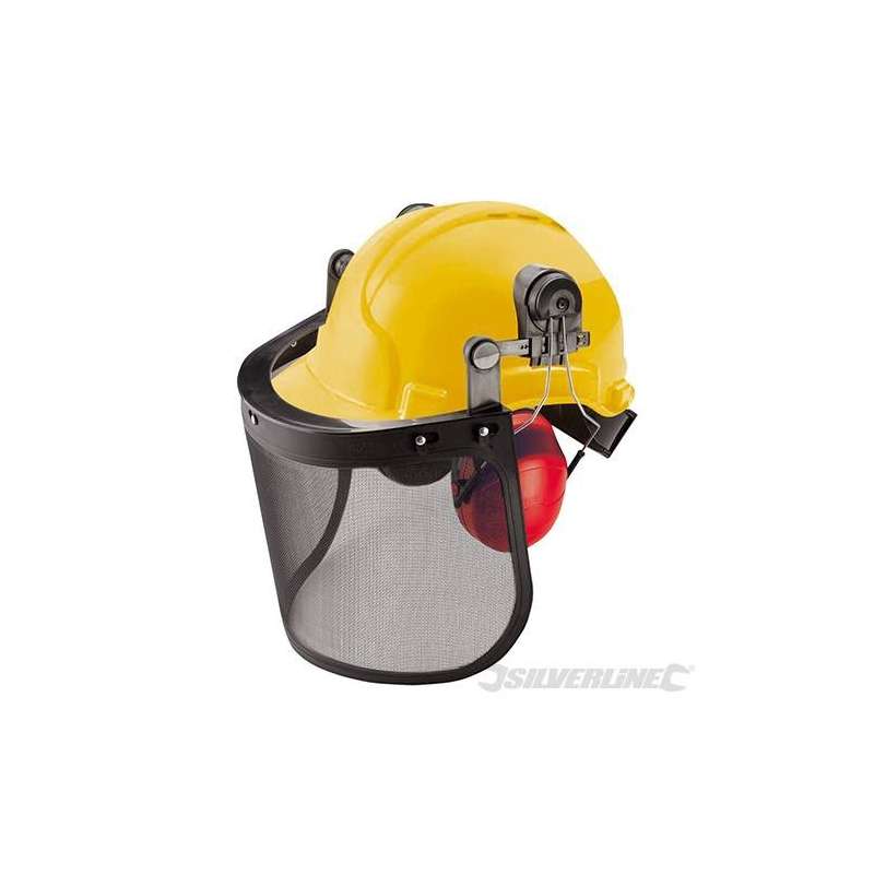 Forestry Helmet