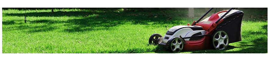 Spare parts for Scheppach & Woodstar lawn mower - Probois