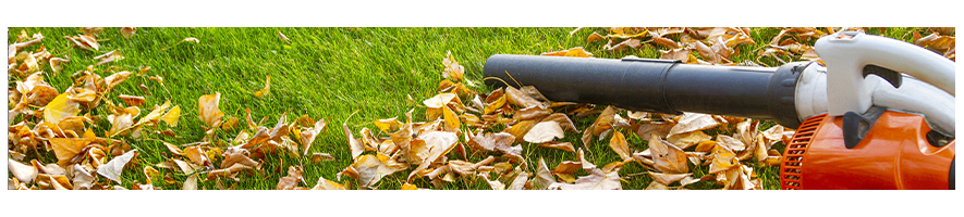 Pezzi di ricambio per soffiatore aspiratore per foglie - Probois