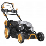 Pièces pour tondeuse Woodstar TT530SP